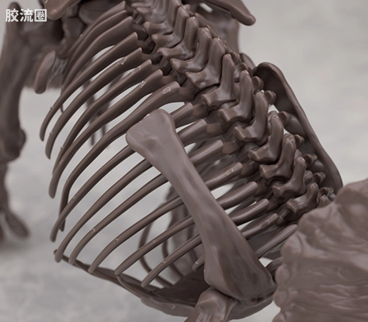 万代综合拼装模型系列 Imaginary Skeleton系列 三角龙 - 图片
